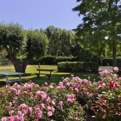 camping-les-residences-la-becques-espace-vert-3.jpg 